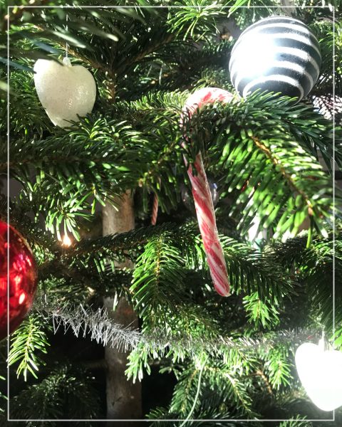 adventskalender glögg lucia